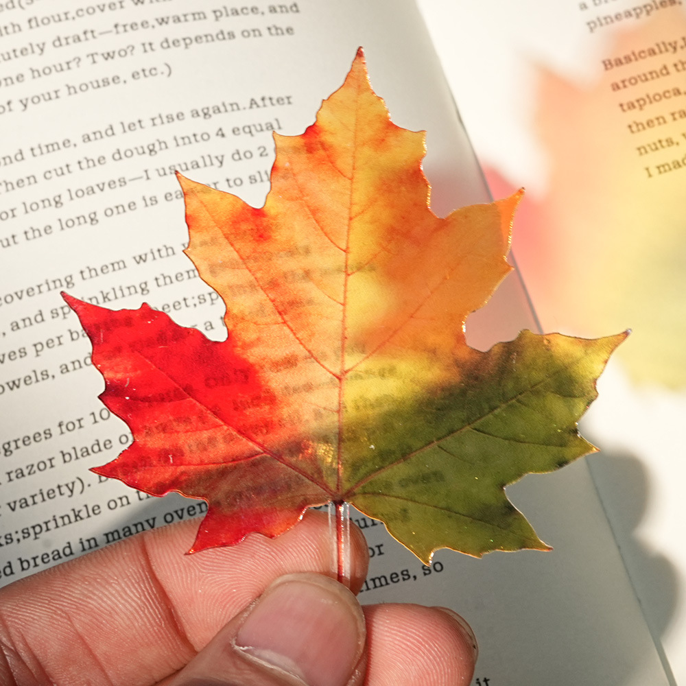 New Delicate Leaves Bookmark T - đánh giá và giá Dried Flower Bookmark